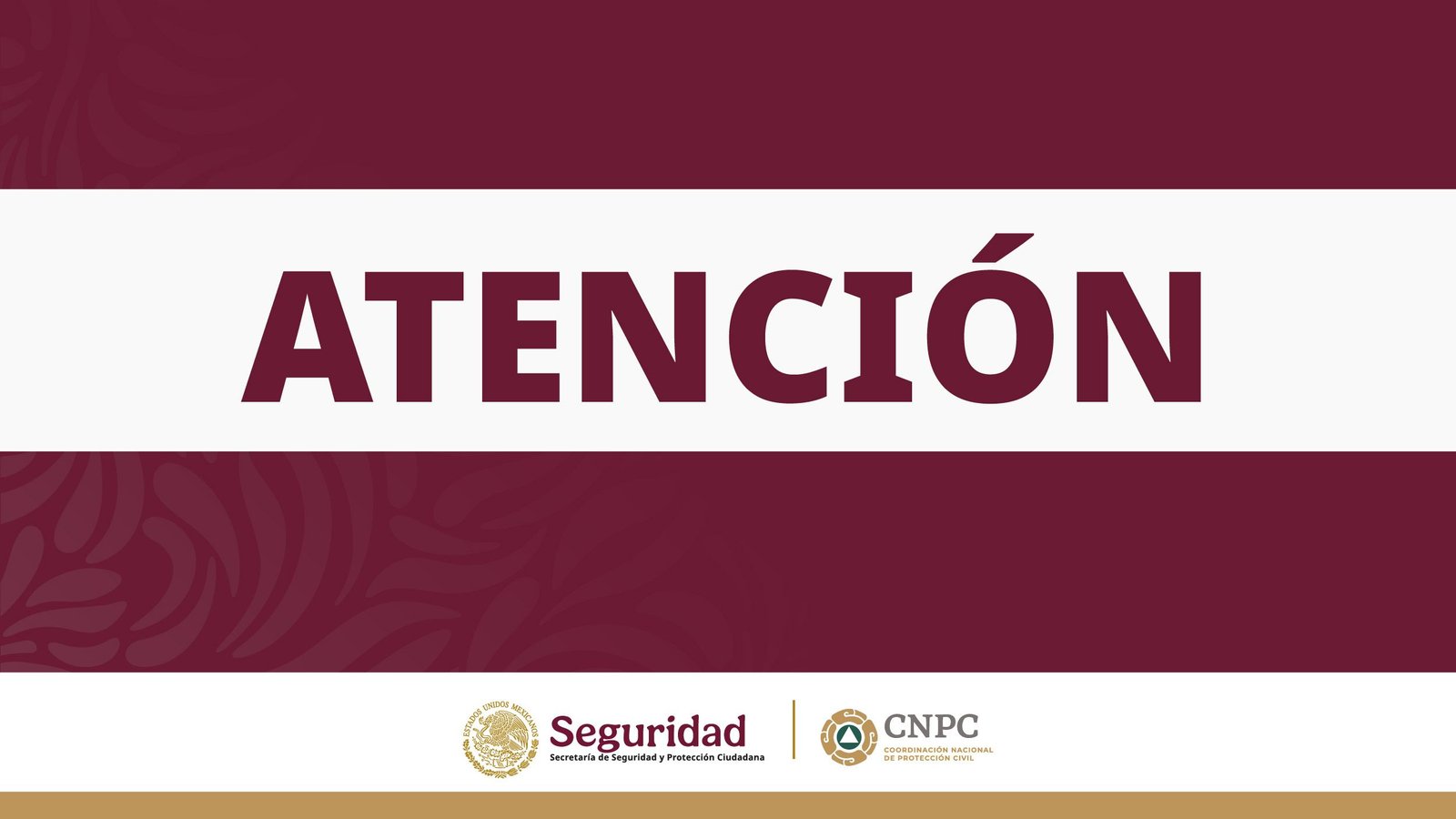 Gobierno Federal Desmiente Rumores Alarmistas sobre el Popocatépetl; Pide Atender Solo a la CNPC