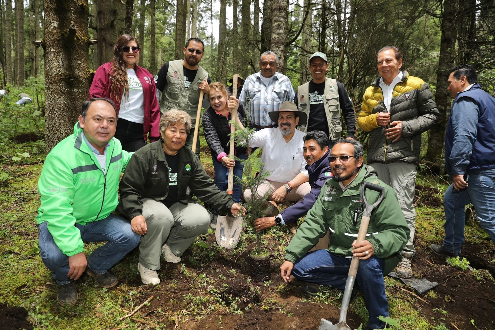 Reforestan Más de 2 Mil Hectáreas en la Reserva de la Mariposa Monarca; Usan Drones para Semillas
