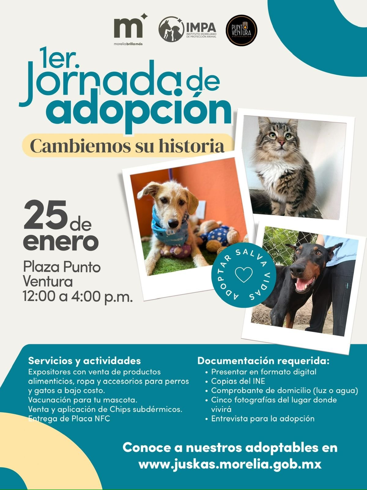 IMPA Morelia invita a jornada de adopción de perros y gatos este domingo 25 de enero