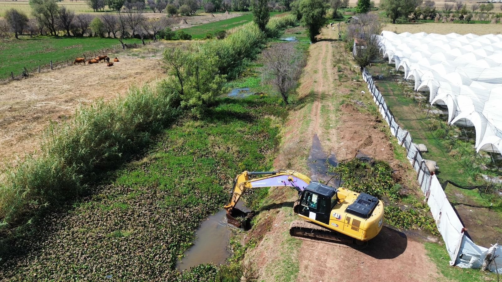 Gobierno de Michoacán invertirá 13.7 mdp para retirar 240 mil m³ de azolve del lago de Pátzcuaro en 2026