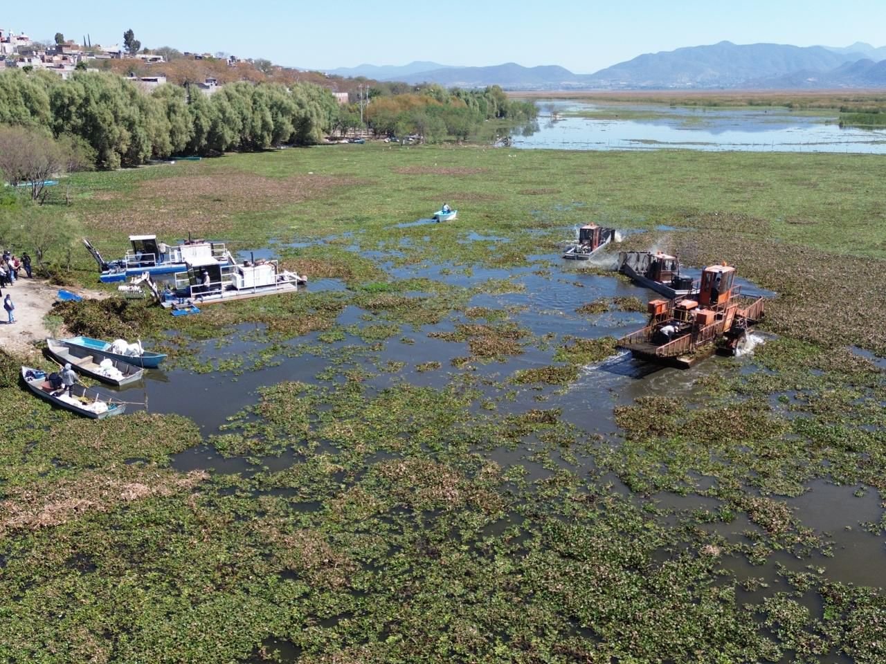 Michoacán rehabilitará 60 hectáreas del lago de Cuitzeo en beneficio de pescadores, informa Compesca