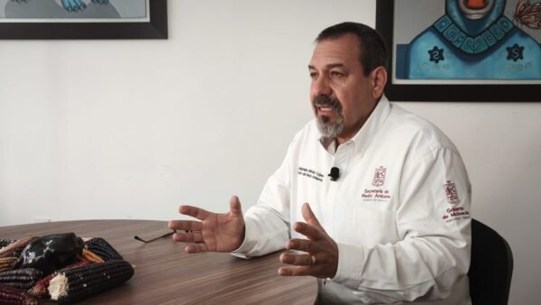 Alejandro Méndez destaca reducción de tala en reserva de la Mariposa Monarca por vigilancia satelital