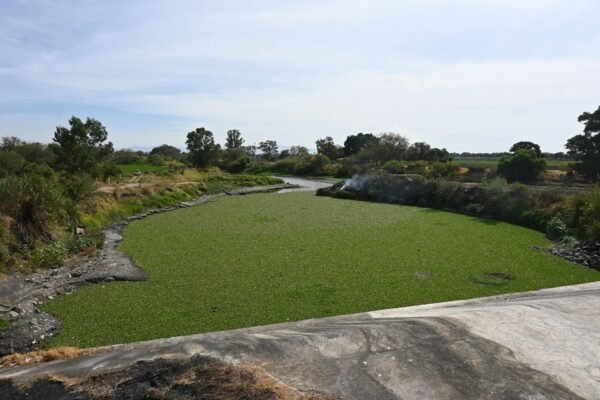 Conagua Michoacán llama a productores agrícolas a regularizar concesiones de agua antes del 28 de abril