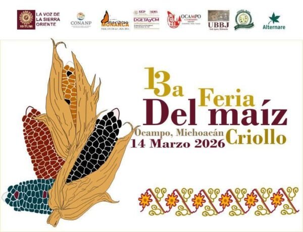 Feria del Maíz Criollo 2026 se realizará este 14 de marzo en Ocampo para promover la conservación de la semilla nativa