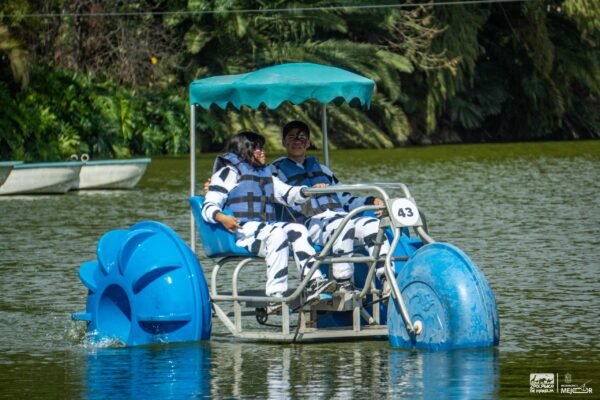 Zoológico de Morelia invita a disfrutar de triciclos acuáticos en su lago para mayores de 10 años