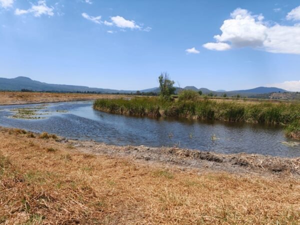 SCOP retira más de 21 mil metros cúbicos de azolve en cuatro canales del lago de Pátzcuaro