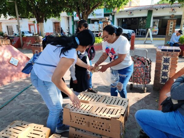 David López Flores impulsa granjas familiares con entrega de pollitas ponedoras en Tuxpan