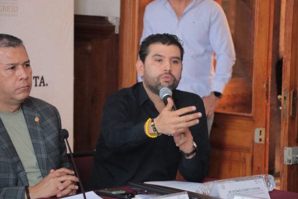 Diputado Octavio Ocampo propone revisar figuras plurinominales y elección judicial en reforma electoral