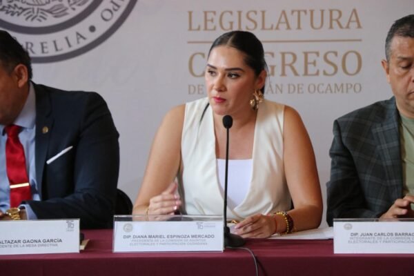 Diputada Diana Espinoza llama a construir reforma electoral en consenso y diálogo democrático
