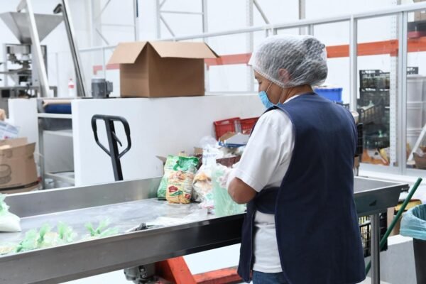 Sedeco reporta más de 505 mil empleos formales en Michoacán, cifra histórica ante el IMSS
