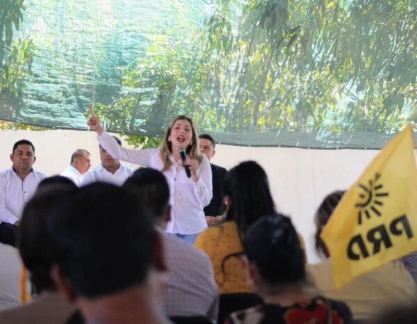 Diputada Brissa Arroyo afirma que impulsa iniciativas con visión de justicia social y se mantiene como legisladora productiva