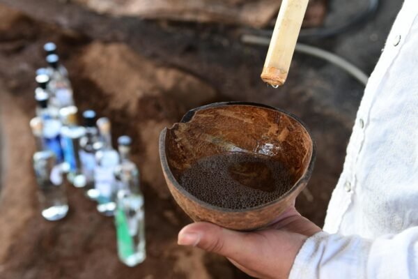 Sedeco realizará Foro Raíz Michoacán para fortalecer marcas con indicaciones geográficas y denominaciones de origen