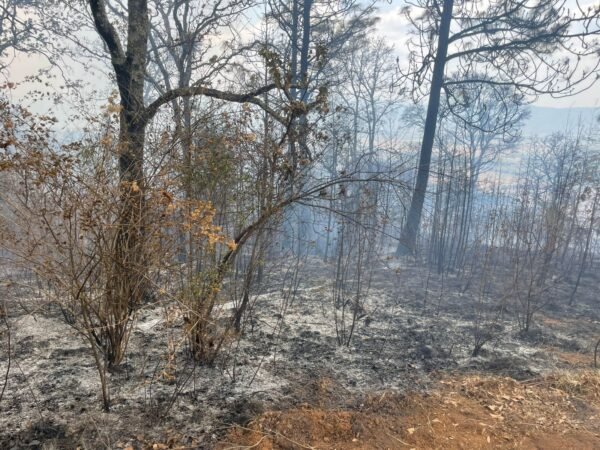 Incendio forestal en Cerro del Estribo, Pátzcuaro, controlado en un 80%