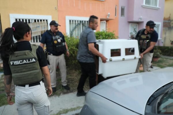 FGE rescata a dos caninos víctimas de maltrato y abandono en Morelia