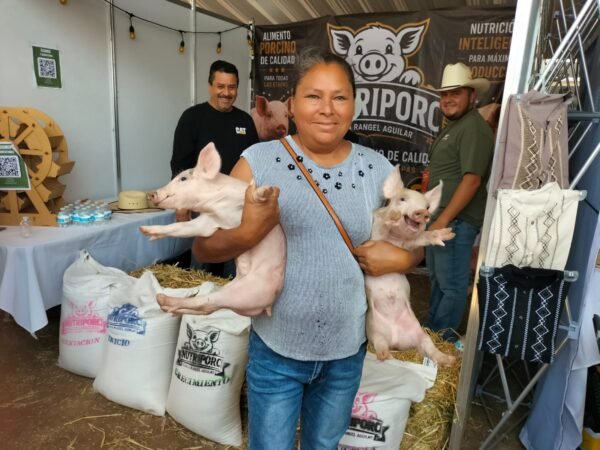 Gobierno de Morelia entrega 80 lechones en Agrotegan