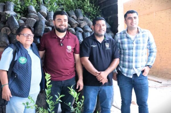 Sader entrega 2 mil 500 plantas certificadas de limón a 34 productores en Tepalcatepec