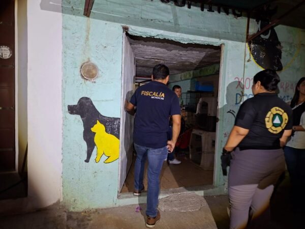 Rescata FGE a cinco caninos maltratados en Apatzingán