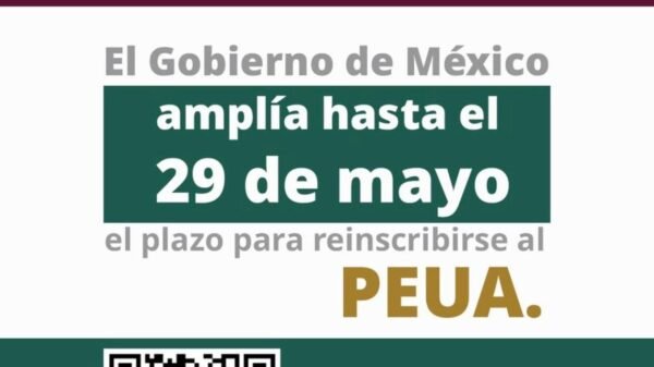 Conagua: productores agrícolas de Michoacán pueden obtener hasta 90% de subsidio en recibos de luz por bombeo de agua