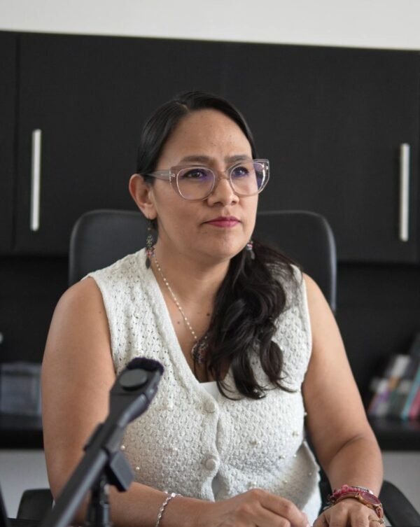 INE abre convocatoria para integrar el Consejo Local Electoral en Michoacán