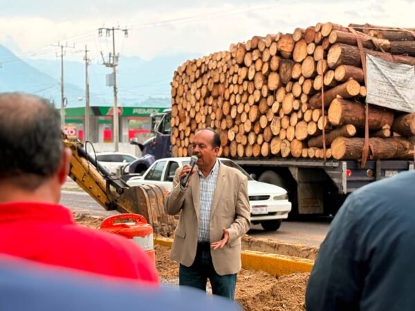 David López Flores inicia rehabilitación de camellón en Avenida Morelos Sur en Tuxpan