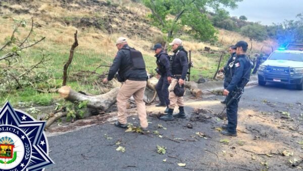 Policía de Juárez retira árbol caído que bloqueaba carretera hacia Cerro Colorado