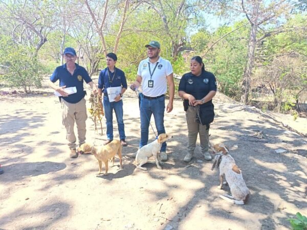 FGE asegura tres perros en condición de maltrato animal en Huetamo