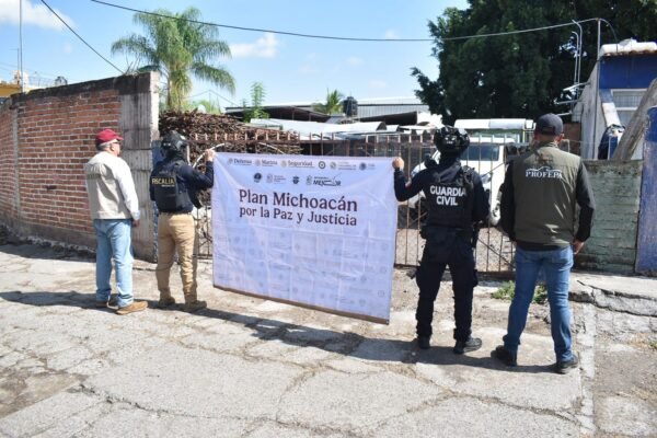 FGE rescata cachorro de tigre de bengala durante cateo en Ecuandureo