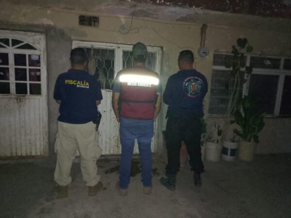 FGE rescata a siete caninos en condiciones de maltrato en Apatzingán