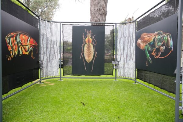 Exposición Insectus ofrece ciencia y arte en Zoológico de Morelia durante junio