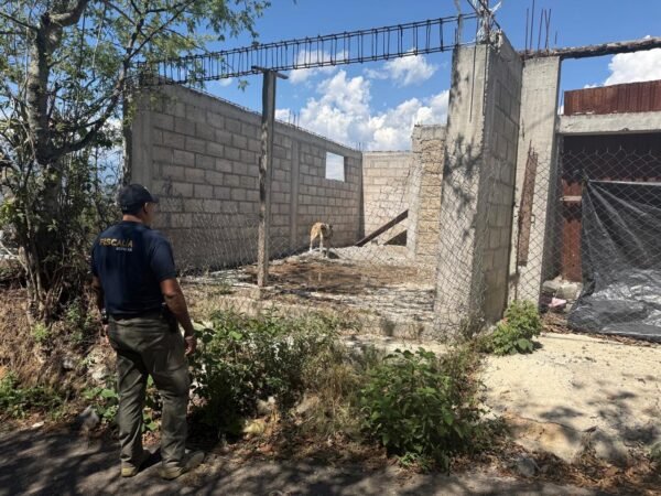 FGE asegura perro de raza Akita durante cateo por maltrato animal en Zitácuaro
