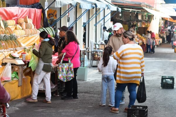 Familias de 26 municipios obtienen canasta básica desde 910 pesos en Michoacán
