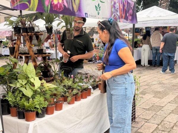 Sefeco concluye encuentro de emprendedoras con derrama de 200 mil pesos