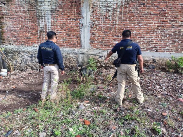 FGE rescata a tres perros en situación de maltrato durante cateo en Jiquilpan