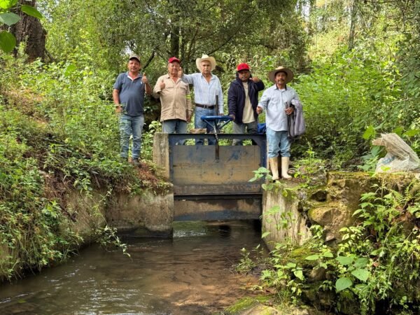 Gobierno estatal moderniza 174 kilómetros de canales de riego en Michoacán