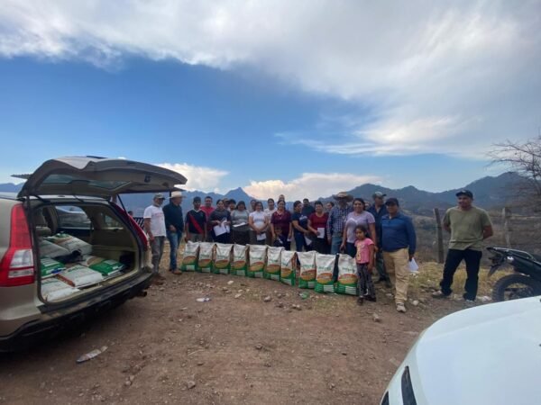 Sader entrega semilla de maíz QPM para fortalecer nutrición infantil en Madero