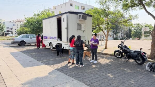 IMPA realiza 216 esterilizaciones y promueve registro Juskas en Villas del Pedregal