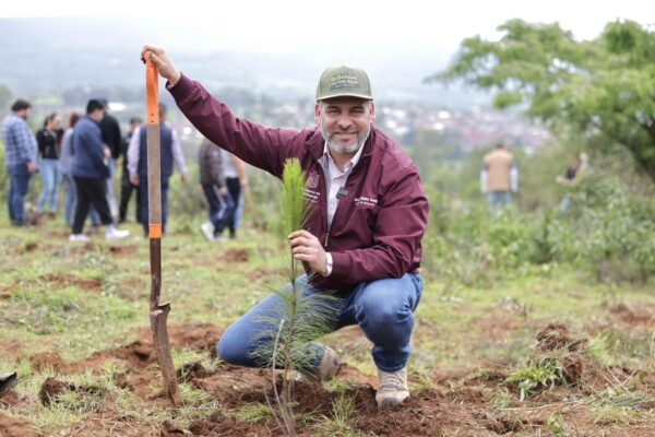 Alfredo Ramírez anuncia reforestación de 17 mil hectáreas con 10.5 millones de árboles en Michoacán