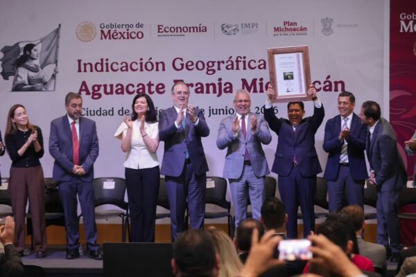 Aguacate michoacano obtiene Indicación Geográfica por IMPI para proteger su origen