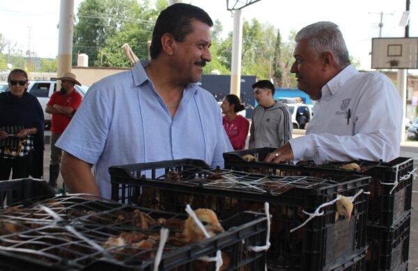 Gobierno de Morelia entrega más de mil 500 gallinas en Chiquimitío; suman 24 mil en zona rural