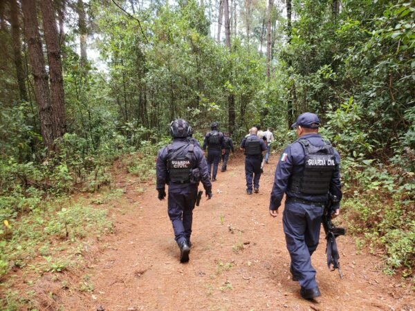 SSP refuerza operativos contra tala clandestina en Madero, Pátzcuaro, Hidalgo y Salvador Escalante