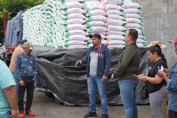 Norma Yáñez impulsa al campo de Jungapeo con entrega de fertilizante