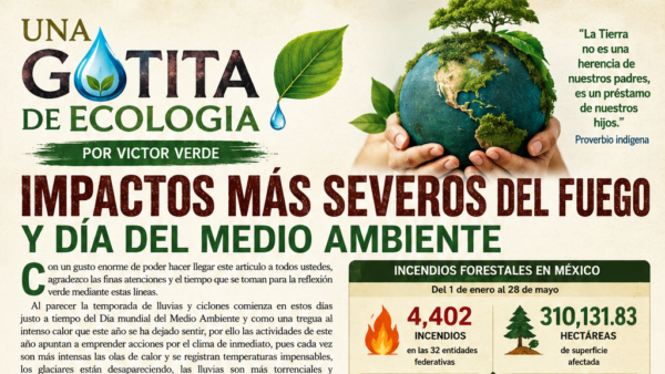 UNA GOTITA DE ECOLOGIA