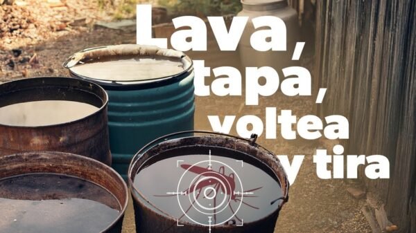 SSM recomienda limpieza en hogares para prevenir criaderos de dengue