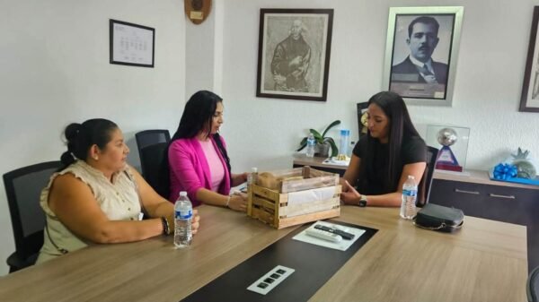 Norma Yáñez gestiona proyectos de agua potable para Jungapeo