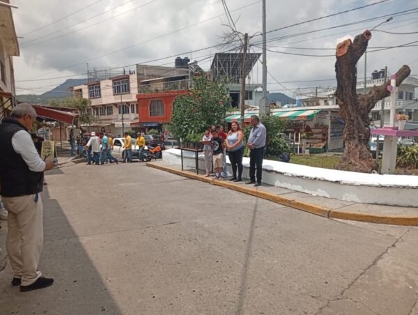 Ayuntamiento de Zitácuaro planta nuevo ejemplar de Hucaz en emblemática glorieta