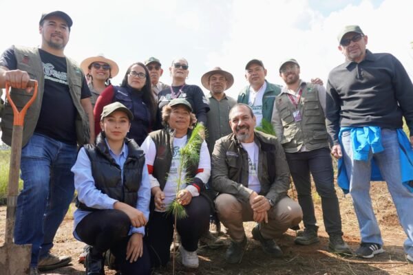 Secma proyecta plantar 13 millones de árboles en Michoacán este año