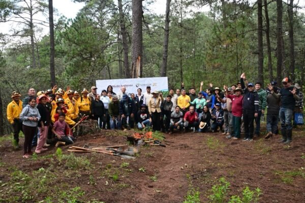 Gobierno de Morelia reforesta 600 árboles en Jesús del Monte
