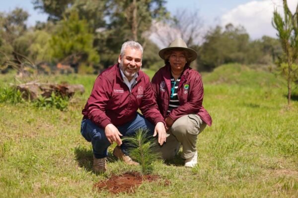 Bedolla anuncia 50 millones de árboles reforestados en Michoacán