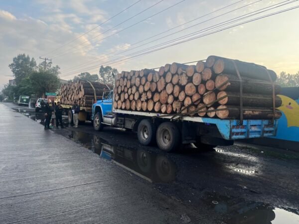 FGE asegura tres camiones con madera en Charo por documentación falsa