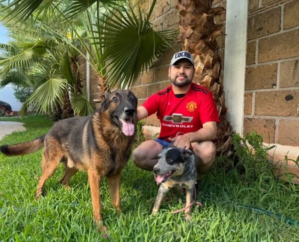 Octavio Ocampo impulsa institutos de protección animal en municipios